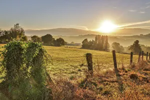 Way Of St Prints: Spain, Galicia. Early morning on the Camino de Santiago near Vilei, Spain