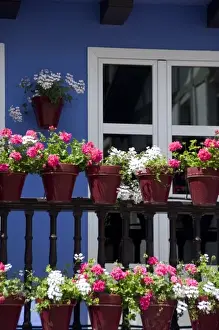 Images Dated 29th May 2008: Spain, Guipuzcoa coast, Hondarribia (aka Fuenterrabia). Typical colorful homes