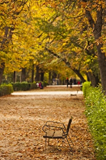 Images Dated 6th November 2011: Spain, Madrid, Parque del Buen Retiro park, fall foliage