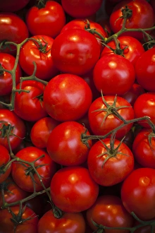 Spain, Madrid, Plaza de San Miguel, Mercado de San Miguel, artisan food marketplace