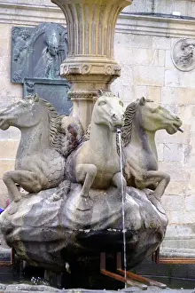 Santiago Prints: Spain, Santiago. Horseheaded fountain near Cathedral Santiago de Compostela
