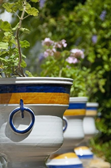 Spain, Seville. Alcazar (aka Reales Alcazares). Palace gardens, ceramic flower pot