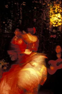 Dance Prints: Spain, Seville, Flamenco dancer