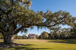 Spanish moss covered tree and the Drayton Hall 18th-century plantation house, Charleston