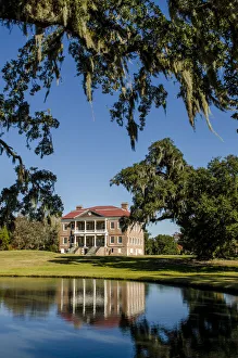 Moss Prints: Spanish moss covered tree and the Drayton Hall 18th-century plantation house, Charleston