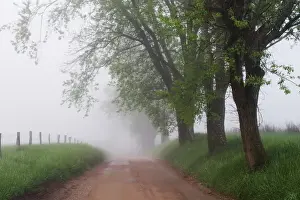 Images Dated 26th April 2004: Sparks Lane in early spring Cades Cove Great Smoky Mountains N. P. TN