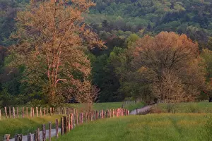 Images Dated 26th April 2004: Sparks Lane in early spring Cades Cove Great Smoky Mountains N. P. TN