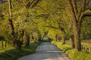 Great Smoky Mountain Prints: Sparks Lane at sunrise, Cades Cove, Cades Cove, Smoky Mountains National Park, Tennessee