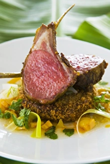 Lamb Prints: Spiced Lamb Rack, Antigua, West Indies, Caribbean, Central America