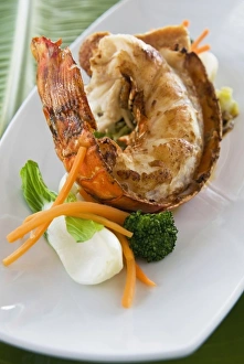 Lobster Prints: Spiced Lobster, Antigua, West Indies, Caribbean, Central America