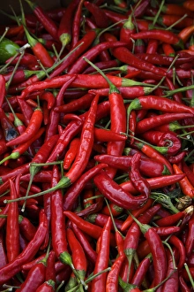 Vegetable Prints: Spicy Hot Red Cayenne Chili Peppers