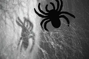 Halloween Prints: Spider on web