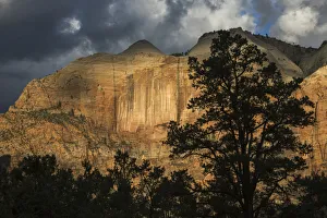 Images Dated 13th January 2021: Spot light on Zion