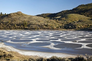 Okanagan Valley Prints: Spotted Lake, Osoyoos, British Columbia, Canada