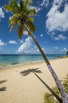 Sprat Hall Beach, St. Croix, US Virgin Islands
