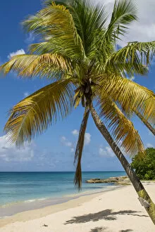 Sprat Hall Beach, St. Croix, US Virgin Islands