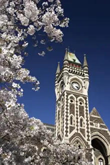 Images Dated 13th September 2005: Spring Blossom and Clock Tower, Historical Registry Building, University of Otago