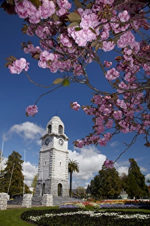 Images Dated 16th October 2011: Spring blossom and Memorial Clock Tower