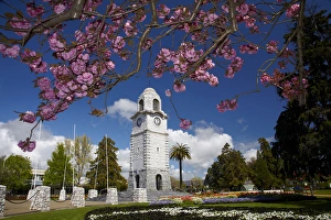 Images Dated 16th October 2011: Spring blossom and Memorial Clock Tower
