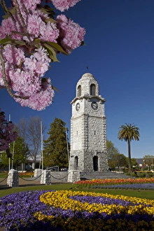 Images Dated 11th October 2012: Spring blossom and Memorial Clock Tower
