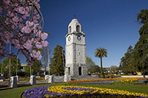 Images Dated 11th October 2012: Spring blossom and Memorial Clock Tower