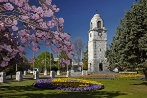 Images Dated 11th October 2012: Spring blossom and Memorial Clock Tower