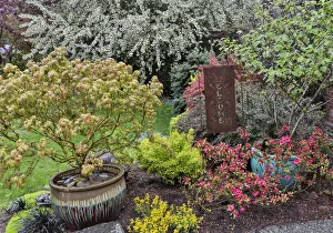 Yard Prints: Spring color with Welcome metal sign, Sammamish, Washington State