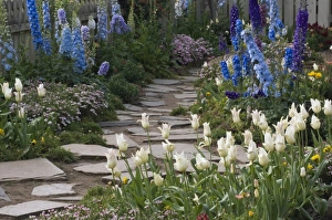 Images Dated 21st April 2007: Spring flowers along a garden path, Georgia