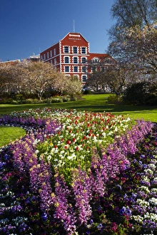 South Is Prints: Spring flowers and historic Crown Mills Building, Dunedin, Otago, South Island, New