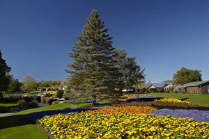 Spring Flowers, Pollard Park, Blenheim, Marlborough, South Island, New Zealand