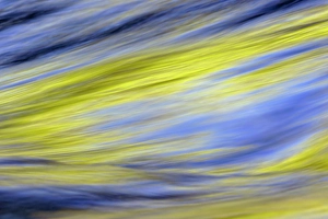 Images Dated 18th January 2024: Spring foliage colors and sky reflecting on ripples on small stream