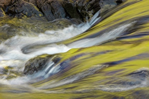 Images Dated 18th January 2024: Spring foliage colors and sky reflecting on ripples on small stream