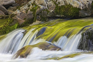 Images Dated 18th January 2024: Spring foliage colors and sky reflecting on ripples on small stream