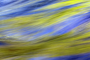 Images Dated 18th January 2024: Spring foliage colors and sky reflecting on ripples on small stream