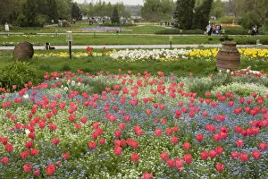 Images Dated 12th April 2008: Spring in Herastrau Park in the City center of Bucharest. Herastrau is the biggest