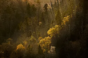 Images Dated 2nd August 2020: Spring sunset from Morton Overlook, Great Smoky Mountains, National Park, Tennessee