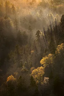 Images Dated 2nd August 2020: Spring sunset from Morton Overlook, Great Smoky Mountains, National Park, Tennessee