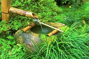 Buddhism Prints: Spring for Tea Ceremony, Sanzen-in Temple, Ohara, Kyoto, Japan