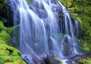Proxy Falls Prints: Spring-time fresh water flowing over moss carpeted rocks Proxy Falls in Oregon s
