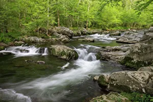 Tennessee Prints: Spring view of Little Pigeon River
