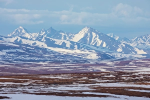 Tundra Prints: Springtime on the arctic tundra landscape of the Seward Peninsula
