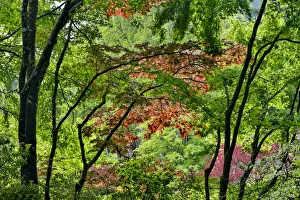 Images Dated 13th May 2017: Springtime at Butchart Gardens, Victoria, British Columbia, Canada