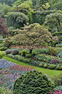 Springtime Butchart Gardens, Victoria, British Columbia, Canada