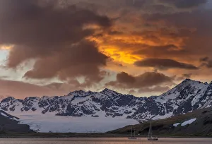 Polar Front Prints: St. Andres Bay on South Georgia Island during sunset