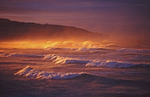 St Clair Beach, Dunedin, New Zealand