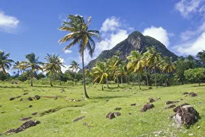 Images Dated 7th June 2007: St Lucia, Caribbean