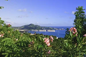 Images Dated 24th October 2005: St. Thomas, US Virgin Islands. Charlotte Amalie