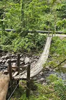 Images Dated 20th February 2011: St. Vincent & The Grenadines. Bamboo bridge at Dark View Falls