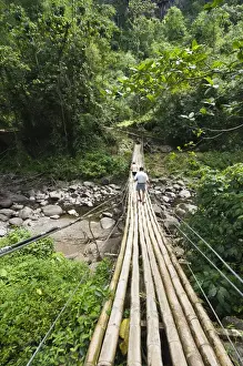 Vincent Prints: St. Vincent & The Grenadines. Bamboo bridge at Dark View Falls