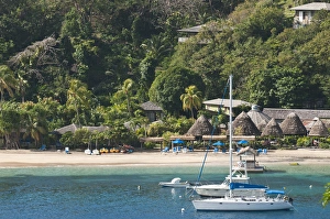 Images Dated 17th February 2011: St. Vincent & The Grenadines. Young Island Resort
